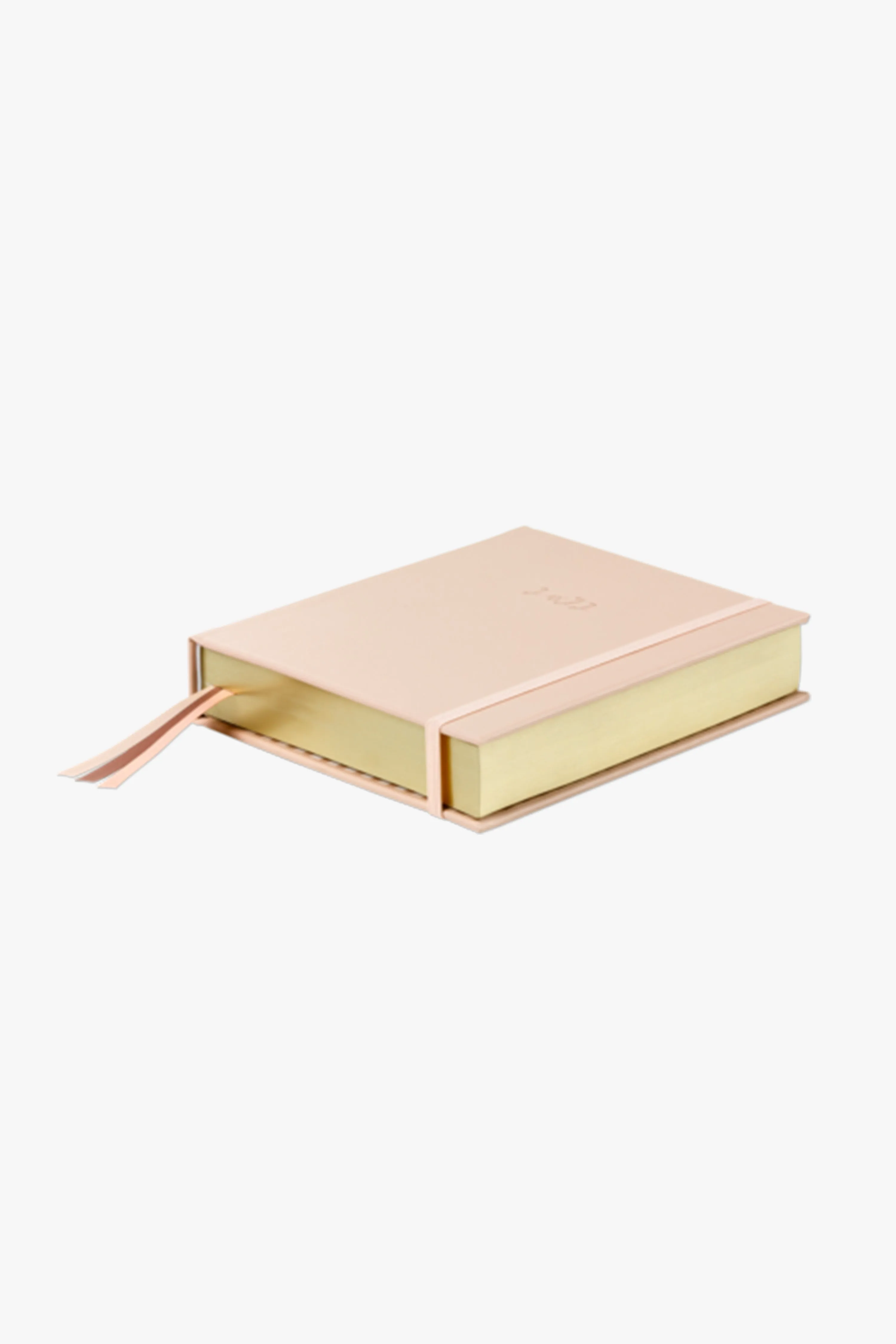 2022 Pink Ballet Slipper Daily Desk Planner