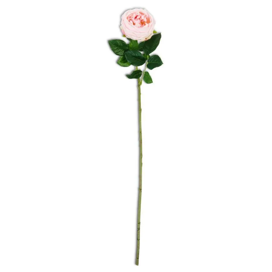 24 Inch Pink Real Touch Austin Rose Stem