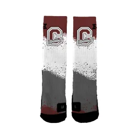 Cascade High Bruins Nerf Socks