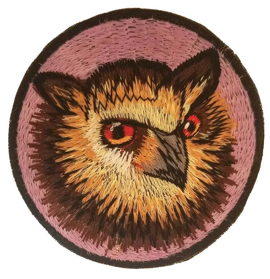 Owl Patches (Pack Of 5)